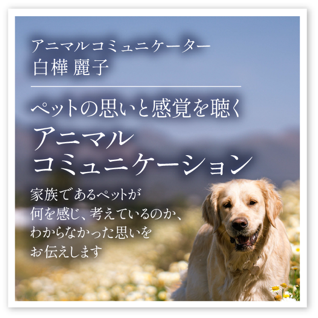 白樺麗子「ペットの思いと感覚を聴くアニマルコミュニケーション」